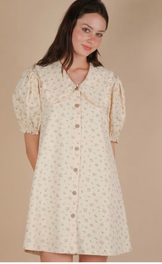 Molly Mini Dress