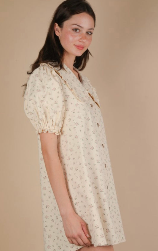 Molly Mini Dress